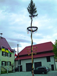 Maibaum 2015